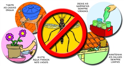 ilustra-miolo-zika